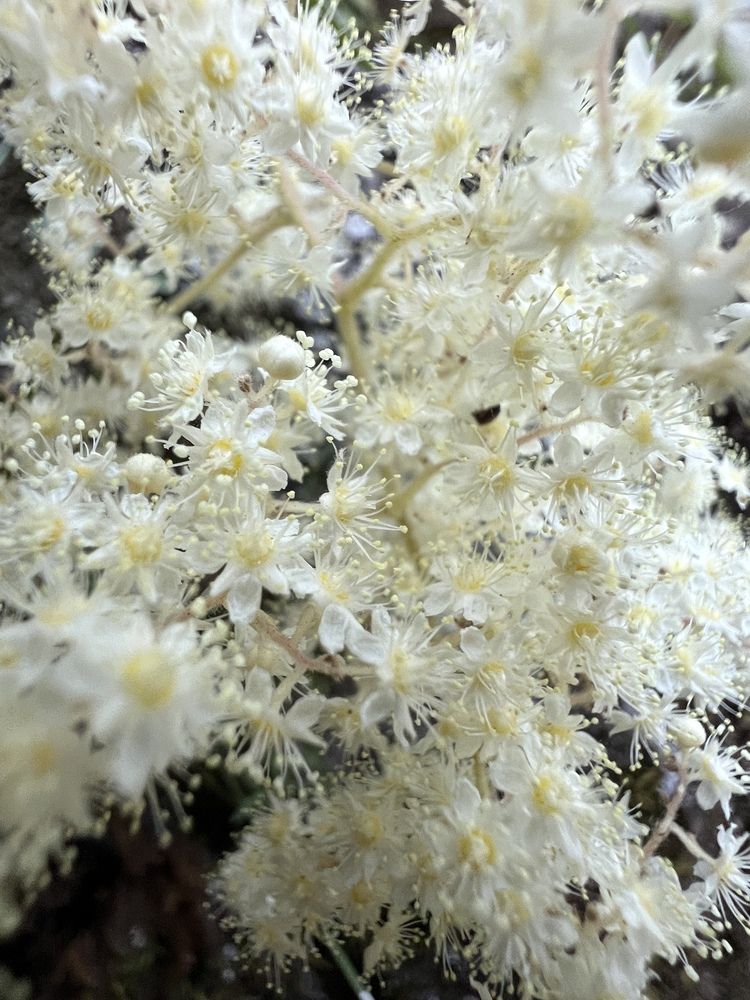 Фотография автора Diana