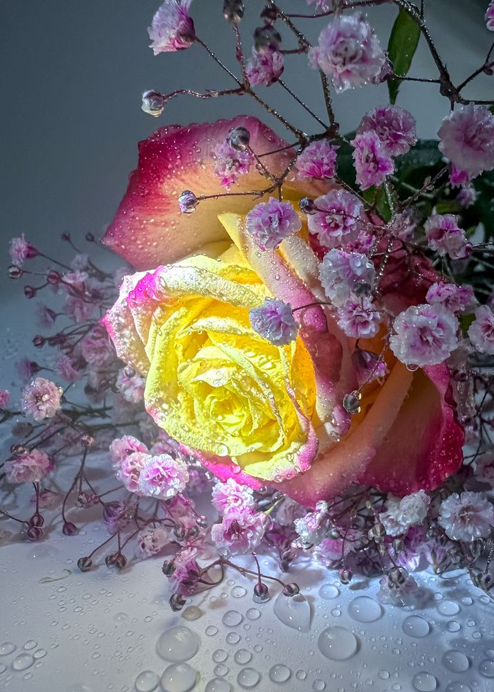 Photograph by Елена Болдырева