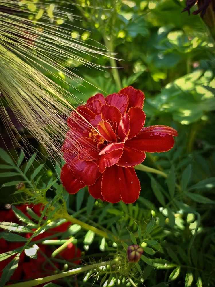 Photograph by Елена Чернякова