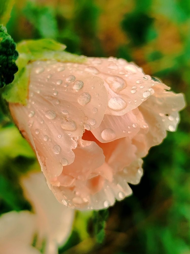 Photograph by Наталья Назаренко