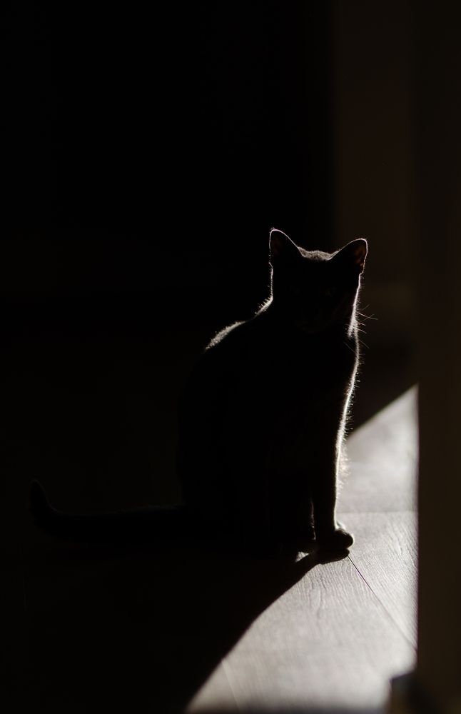 Photograph by Anya Shankova