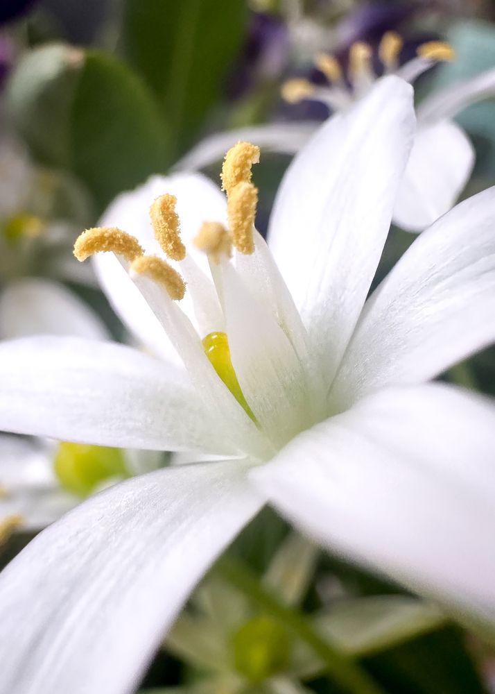 Photograph by Елена Болдырева