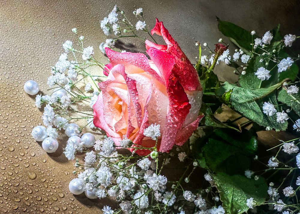 Photograph by Елена Болдырева