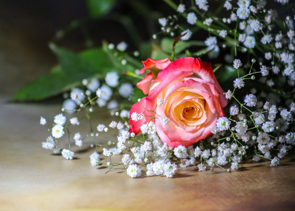 Photograph by Елена Болдырева