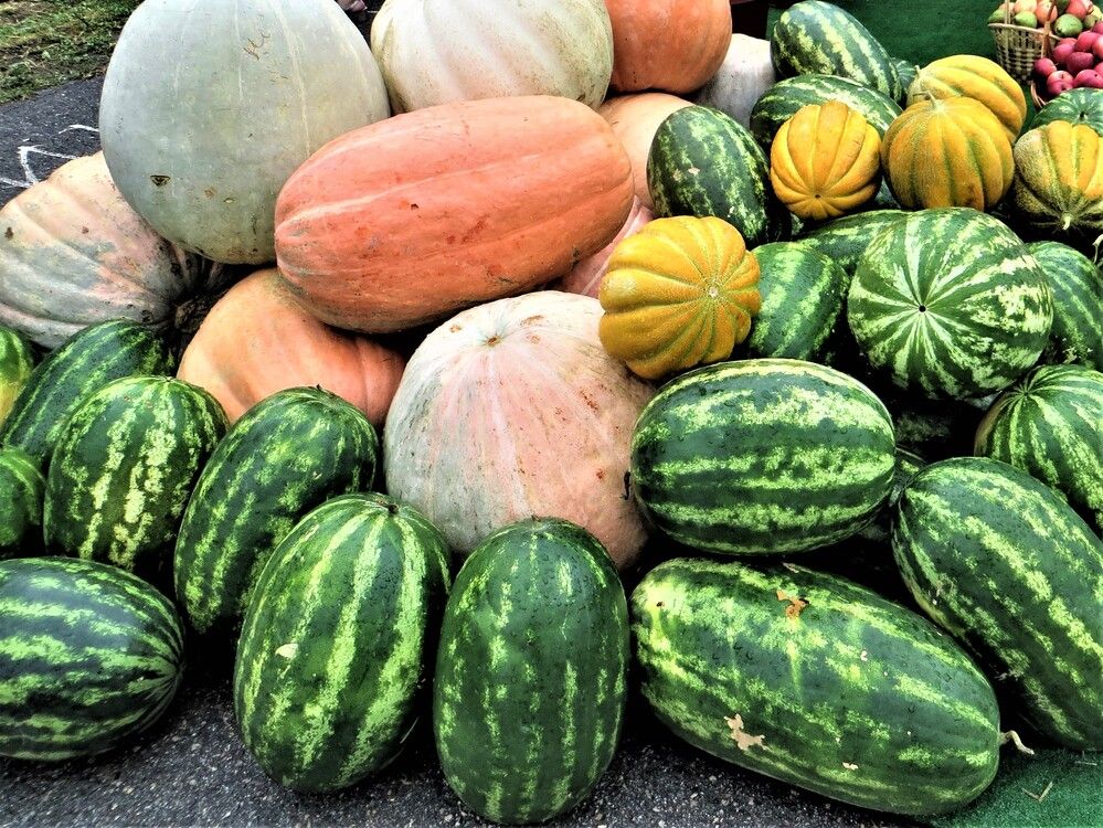 Photograph by Галина