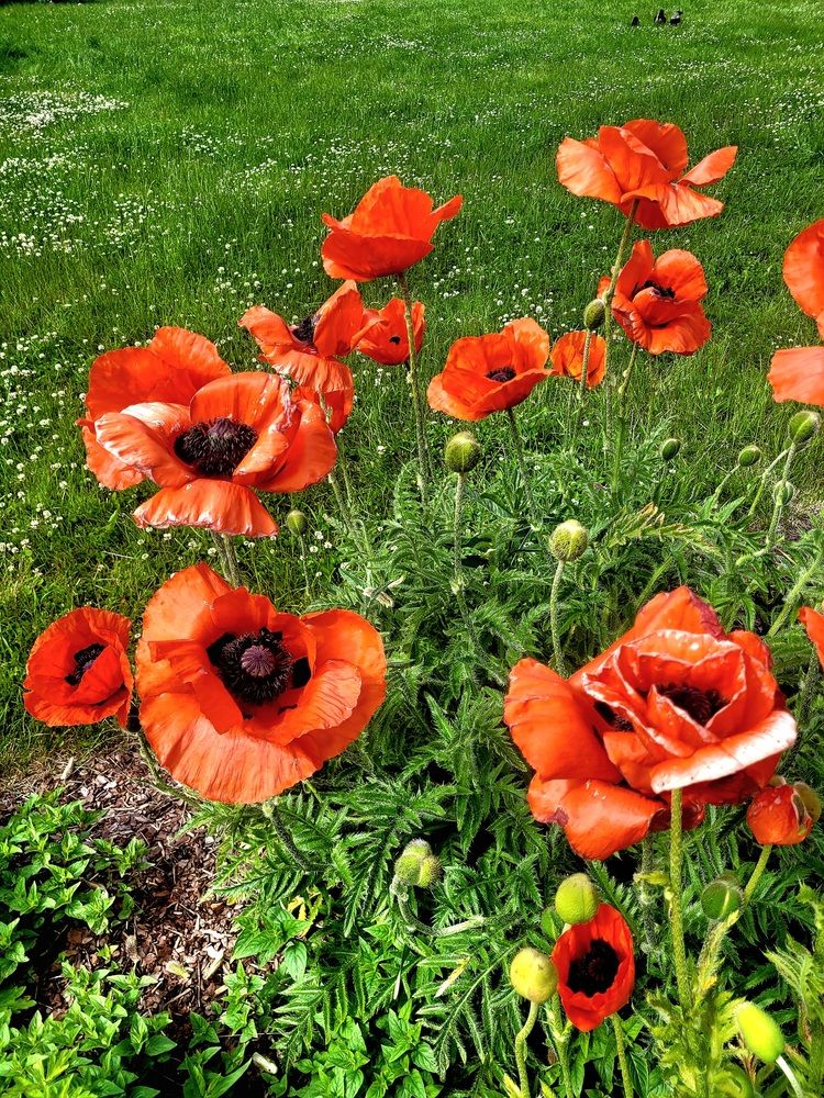 Photograph by Zinaida Nesselmann