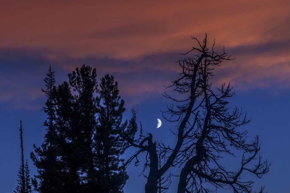 Photograph by Татьяна Каскевич