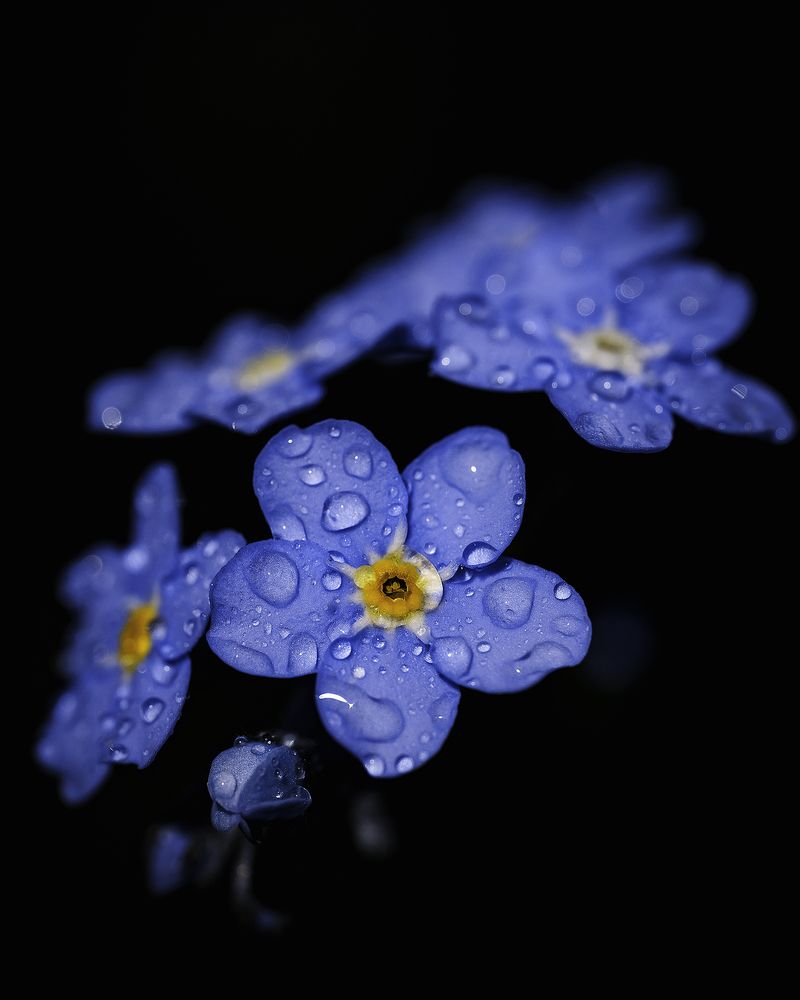 Photograph by Anna Sindikayeva