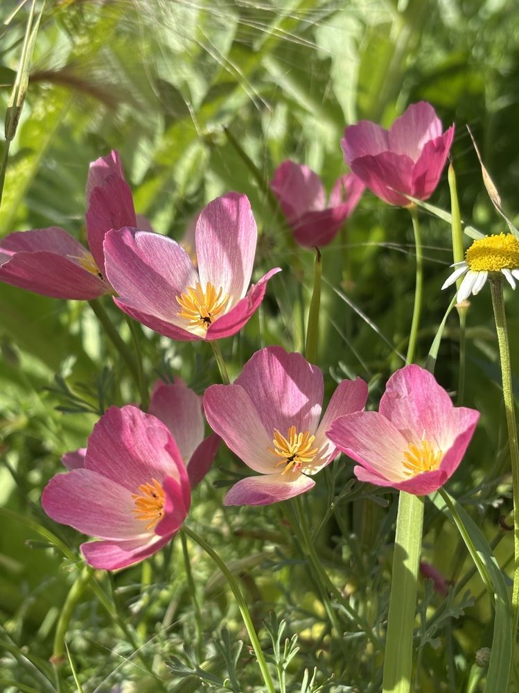 Photograph by Титаренко Людмила