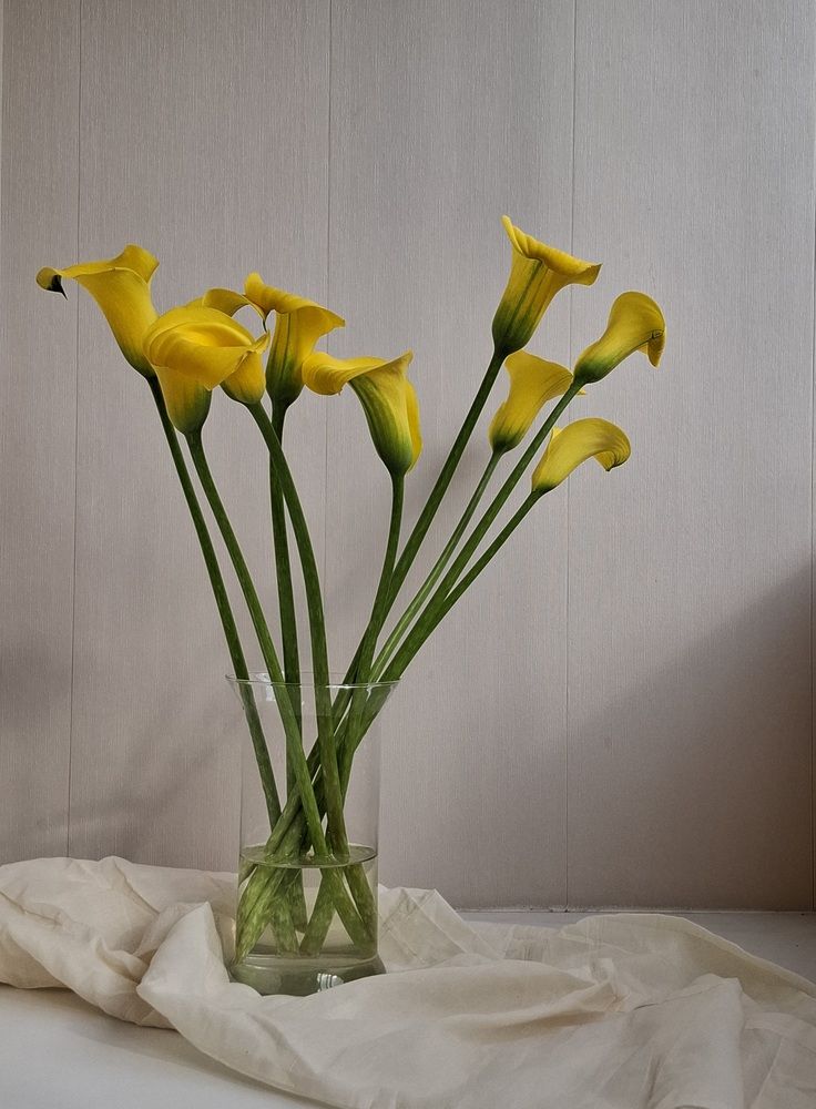 Фотография автора Asya