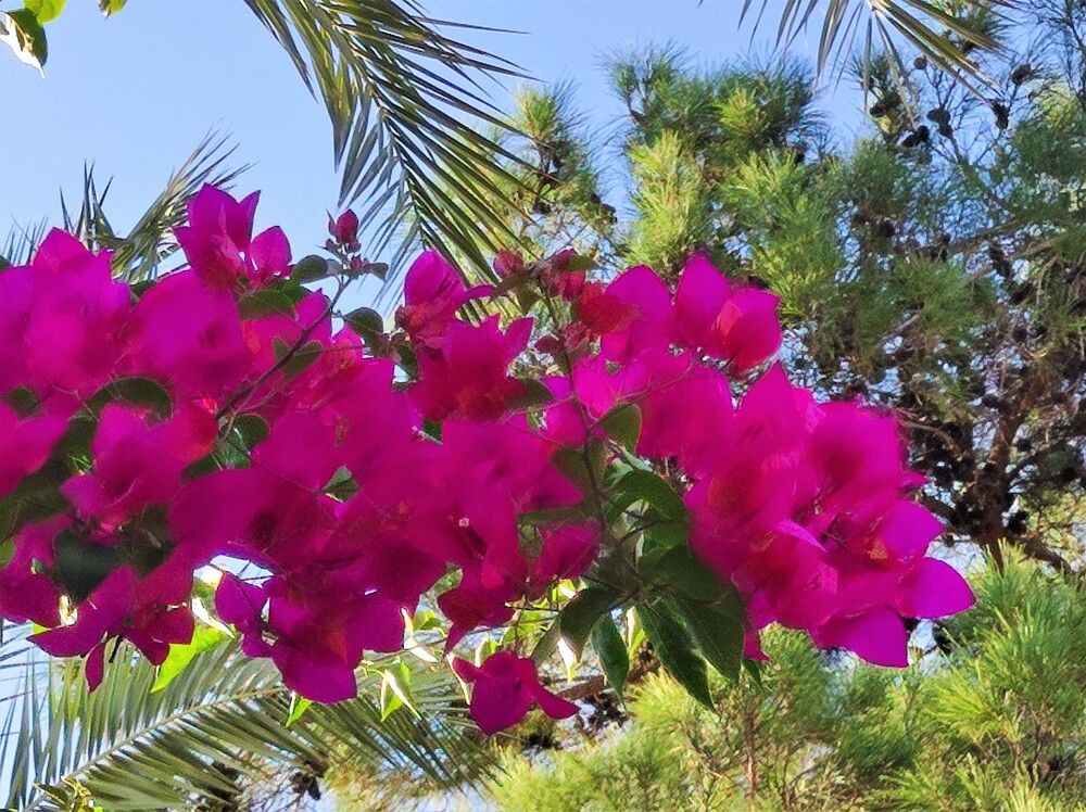 Photograph by Галина