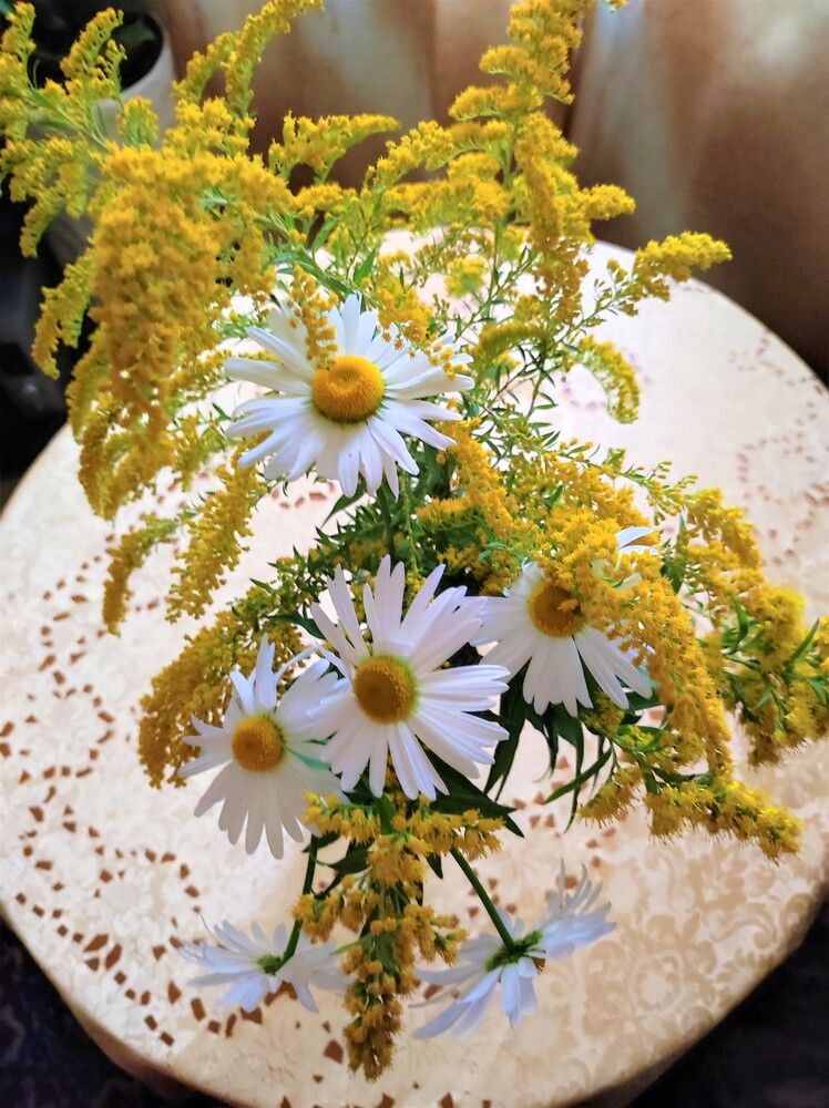 Photograph by Галина