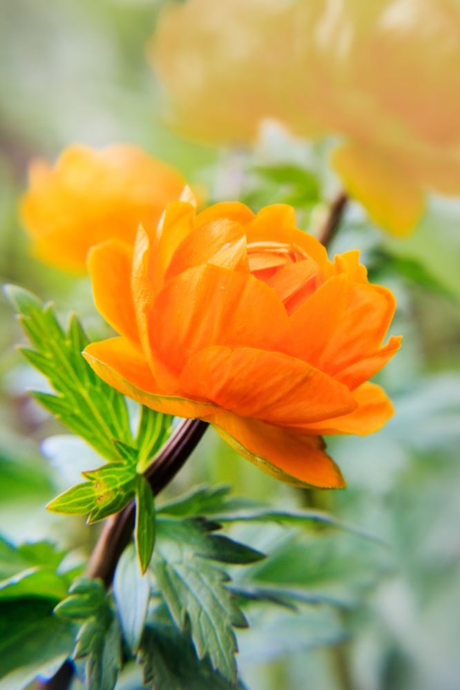 Photograph by виктор ковчин