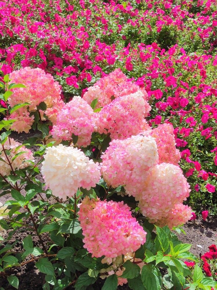 Photograph by Галина