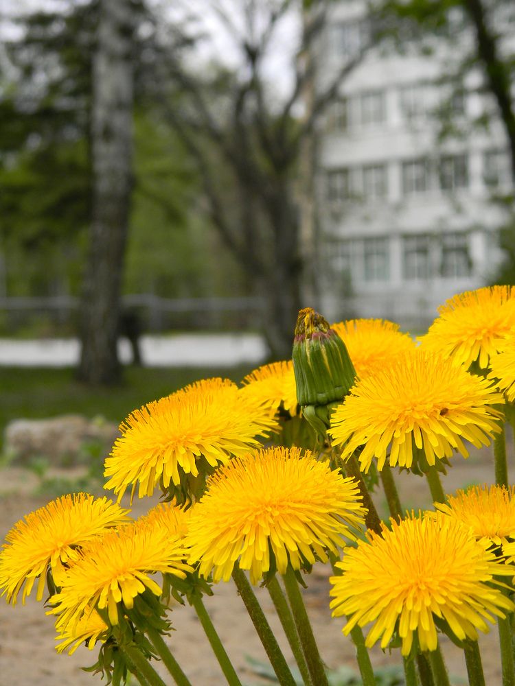 Photograph by Дарья