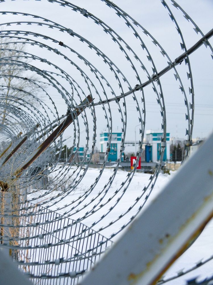 Photograph by Дарья