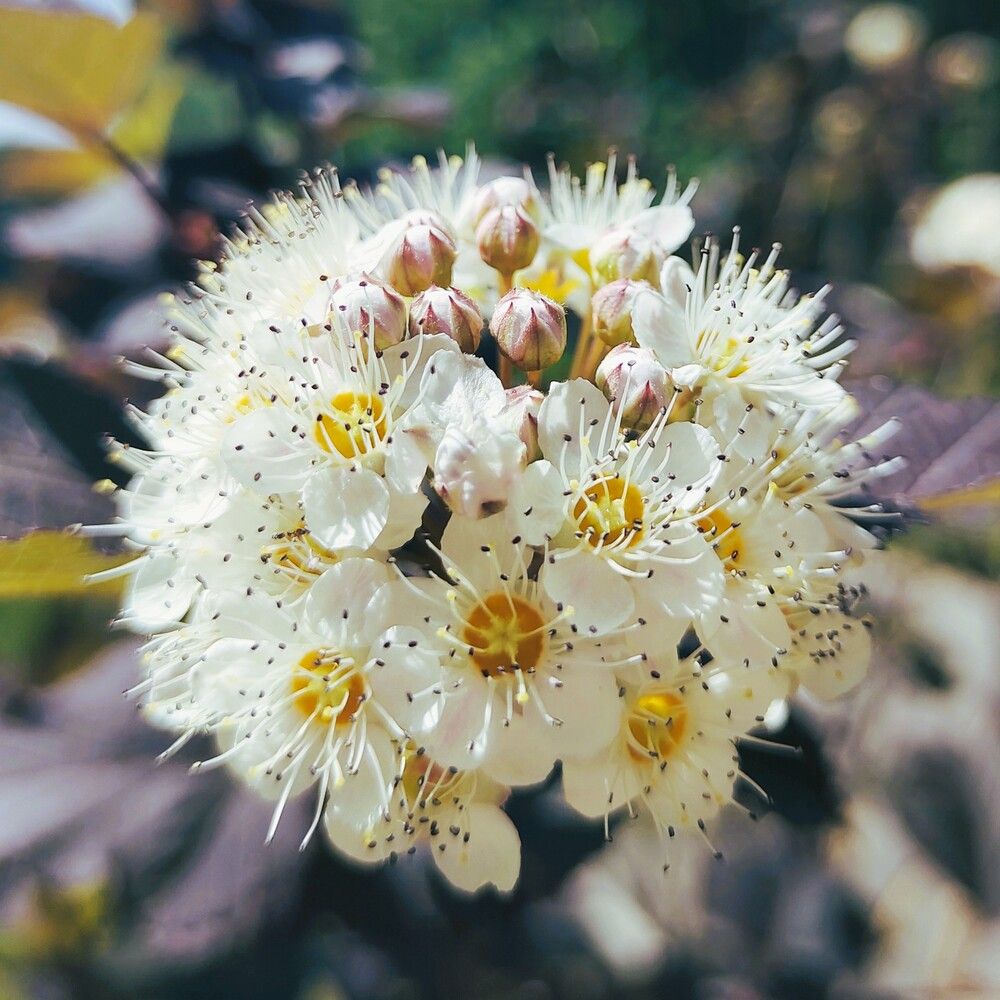 Photograph by Галина