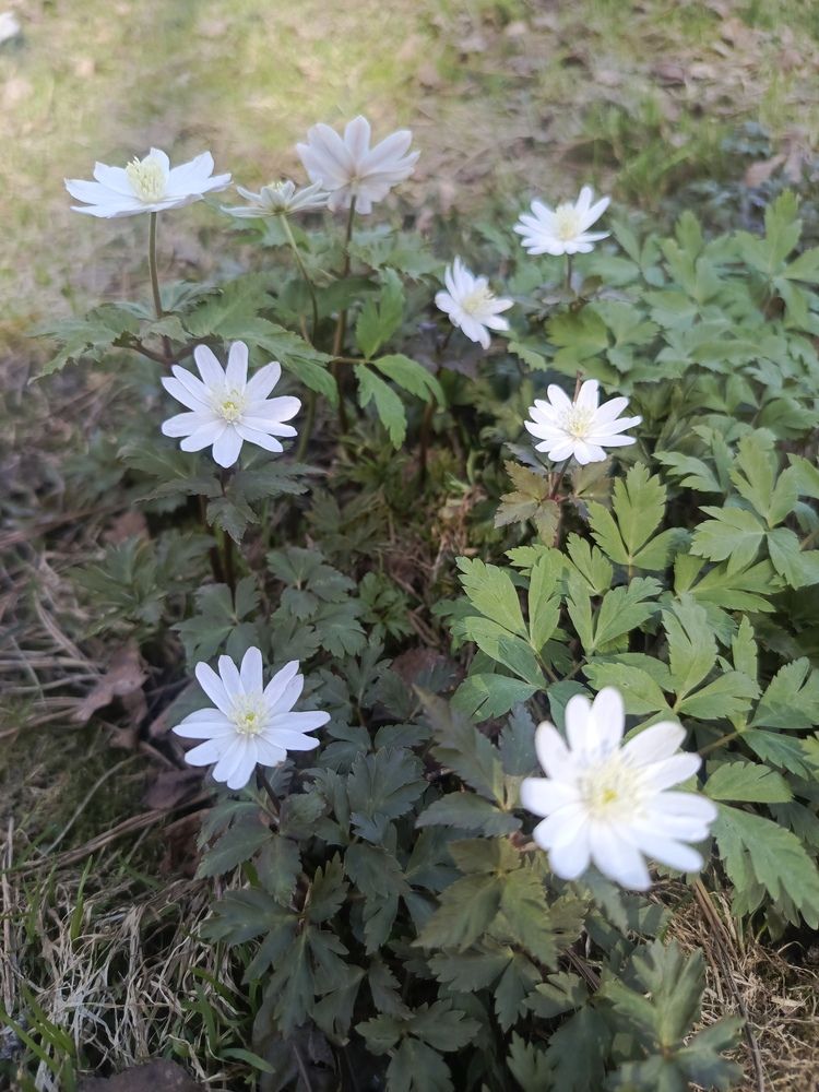 Фотография автора Ольга Петрова