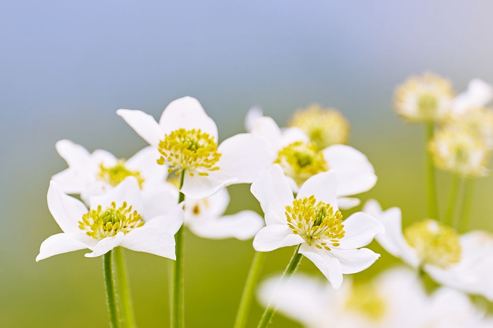 Photograph by Igor Belov