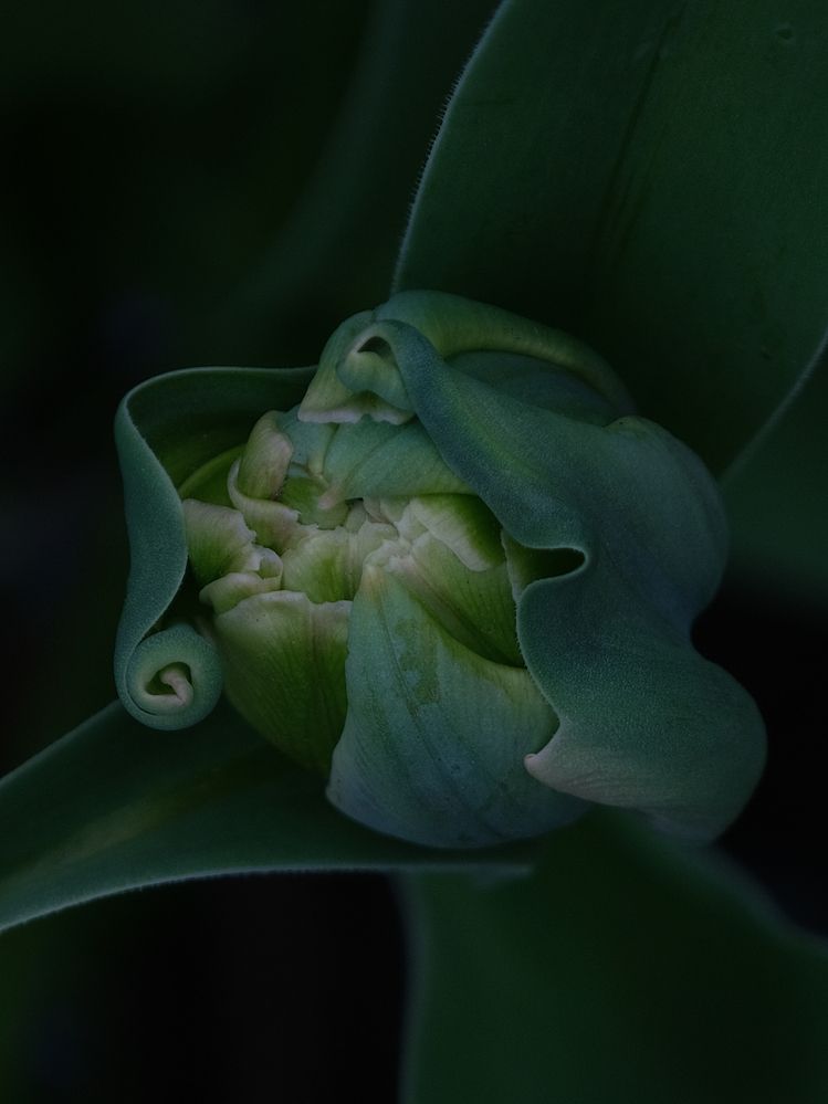 Photograph by Ирина Дегтярева
