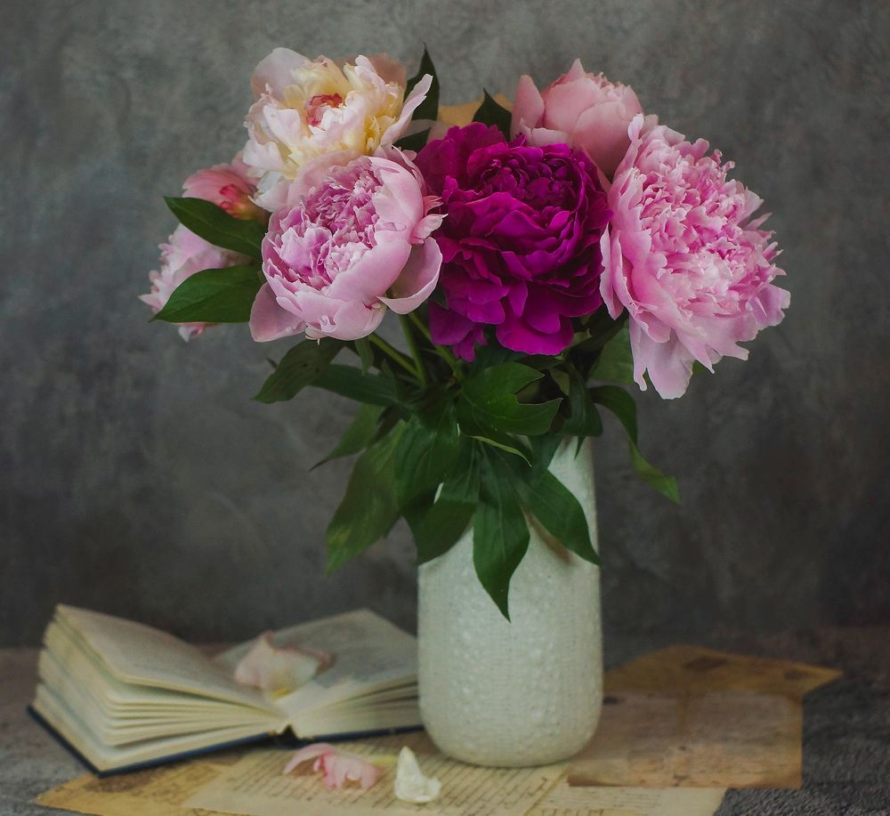 Photograph by Наталья Екимова