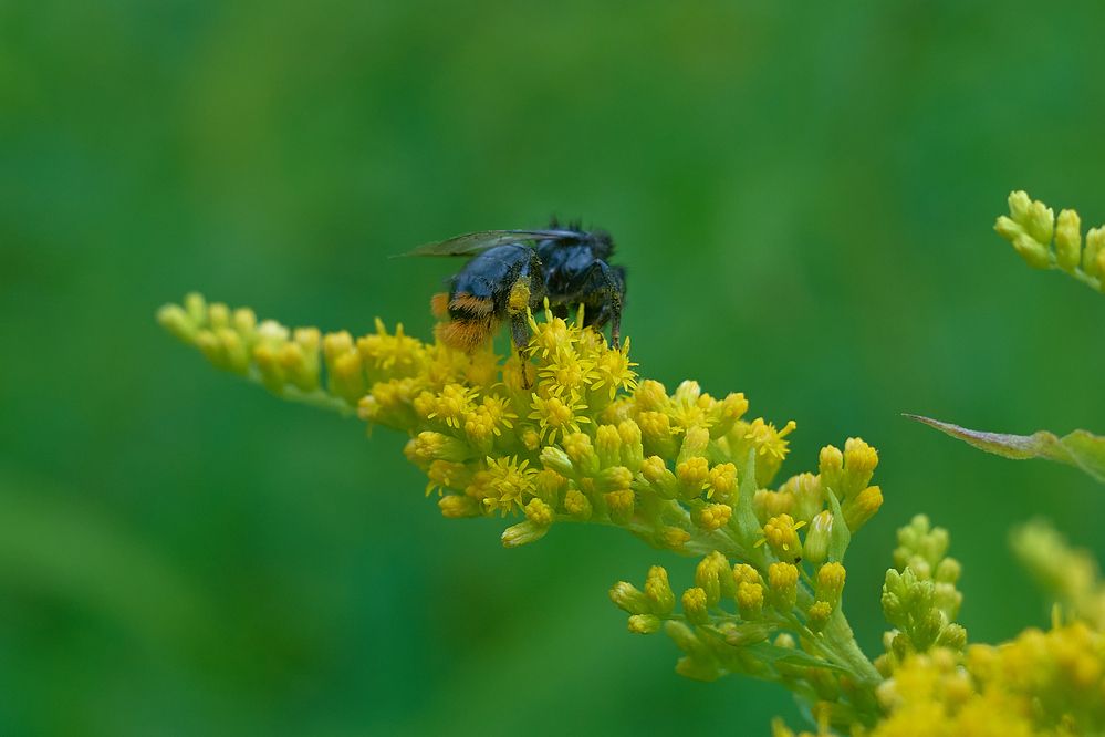 Photograph by Валерий Змачинский