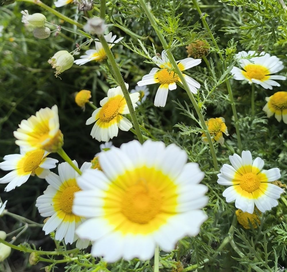 Фотография автора Vadim