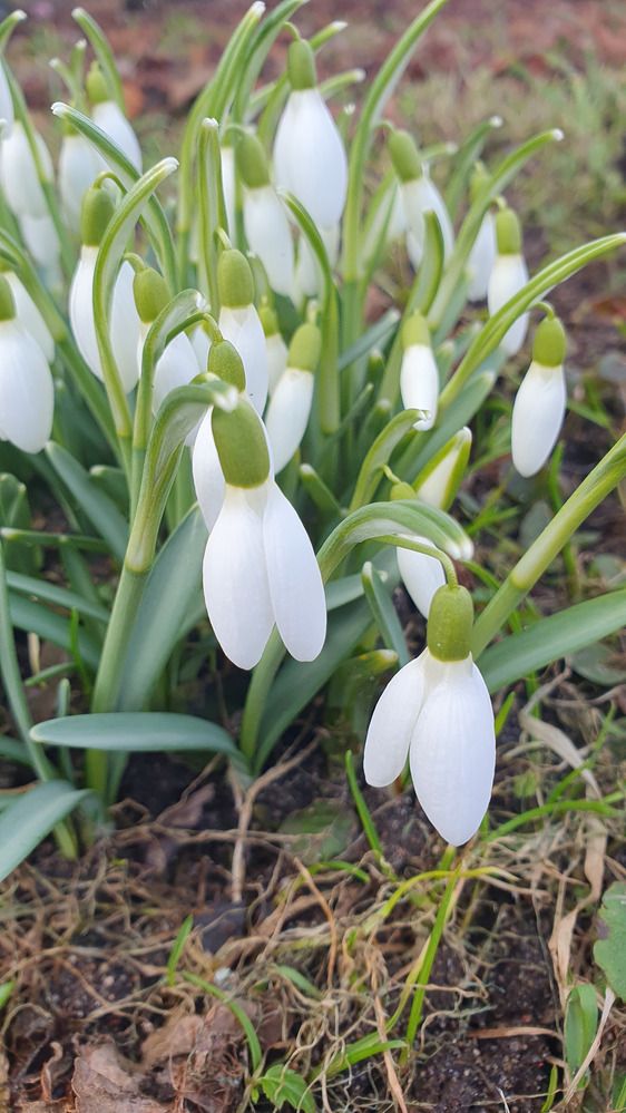 Фотография автора Vadim