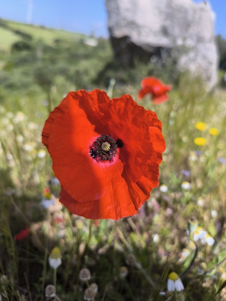 Фотография автора Vadim