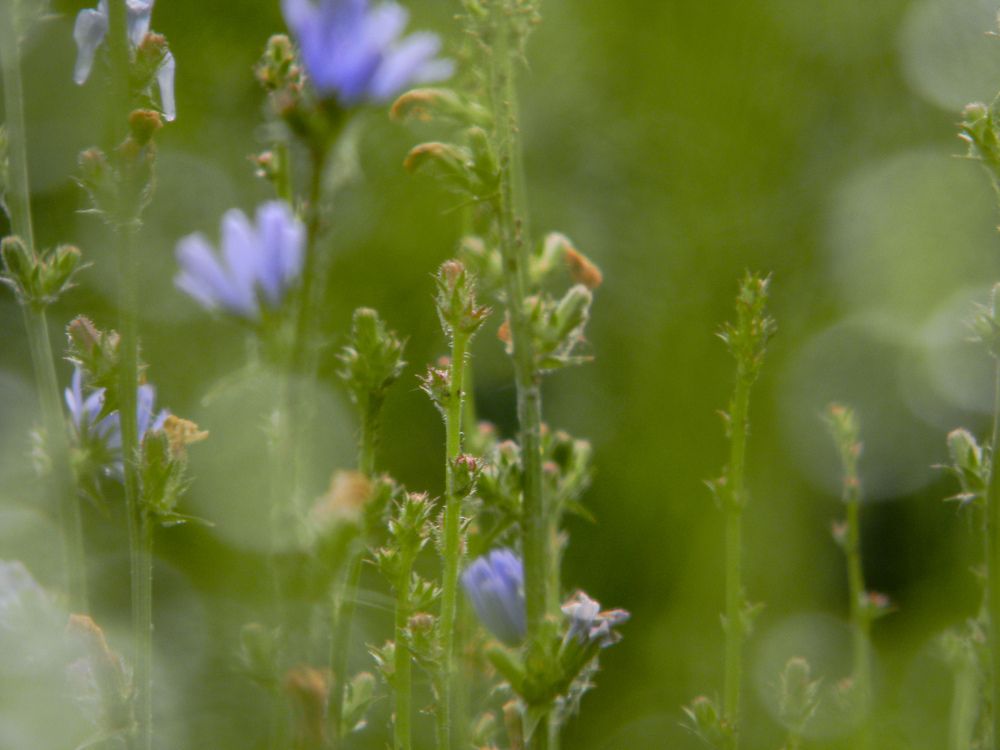 Photograph by Дарья