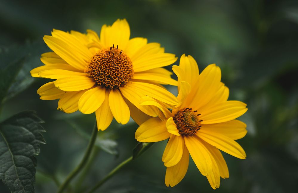 Photograph by Наталья Екимова