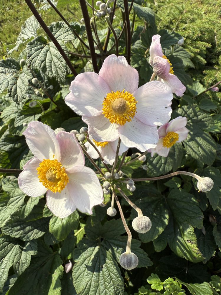 Фотография автора Юлия Денисенко