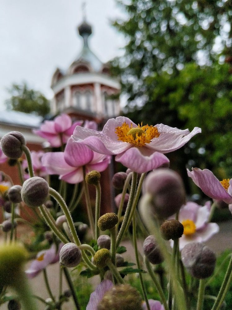 Photograph by Ирина Ермакович