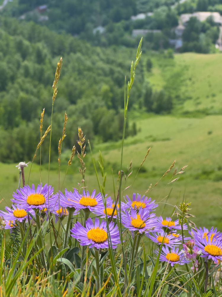 Фотография автора Анна Рыжикова
