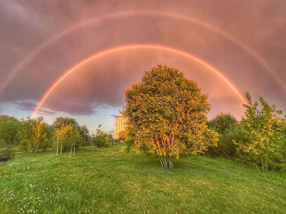 Photograph by Елена Маркова