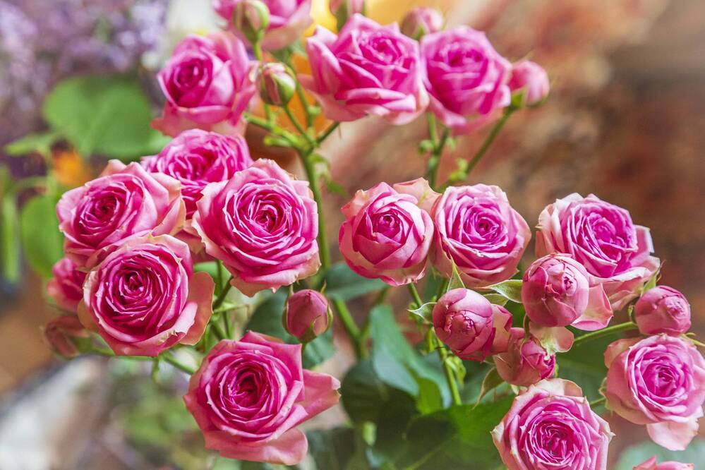 Фотография автора Каргин Валерий