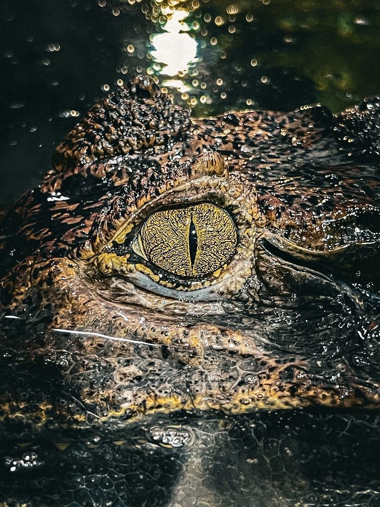 Photograph by Александр Михайлович