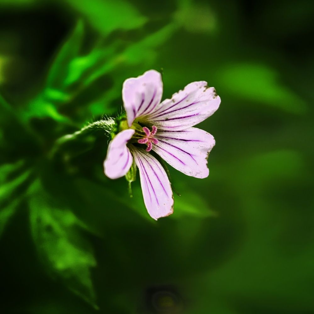 Photograph by Юрий Полушин