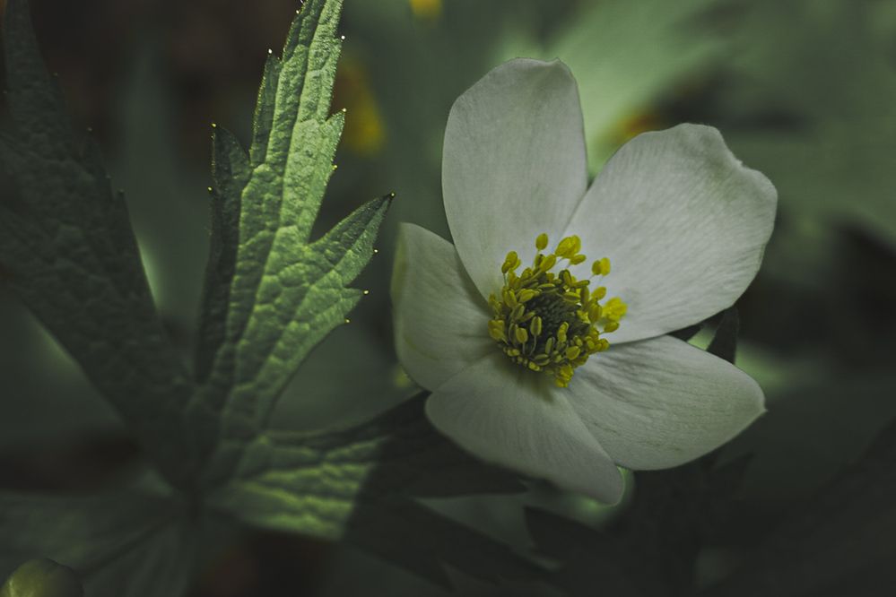 Photograph by Наталья Мубаракшина