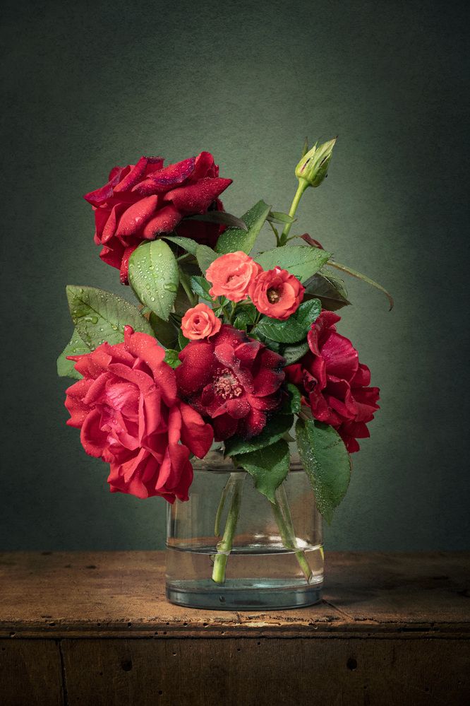 Фотография автора Anna Ilieva-Alikaj