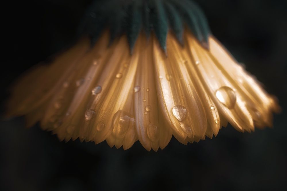 Фотография автора Ольга Кунакова