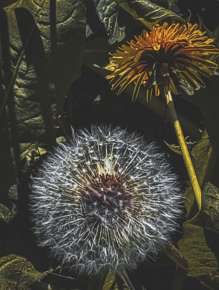 Photograph by Наталия Любчикова