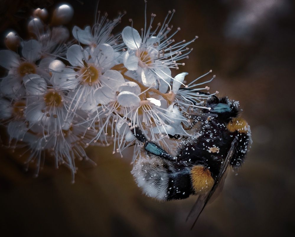 Photograph by Ольга Кунакова