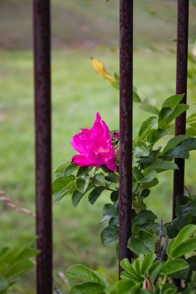 Photograph by Дарья