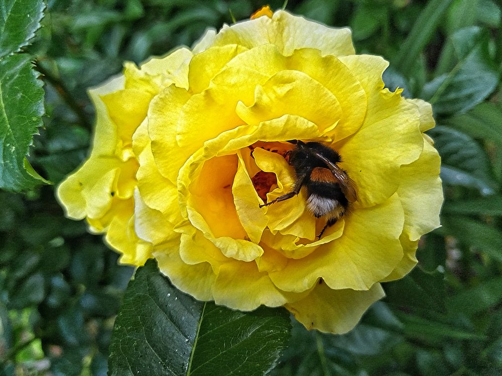 Photograph by Ирина Ермакович