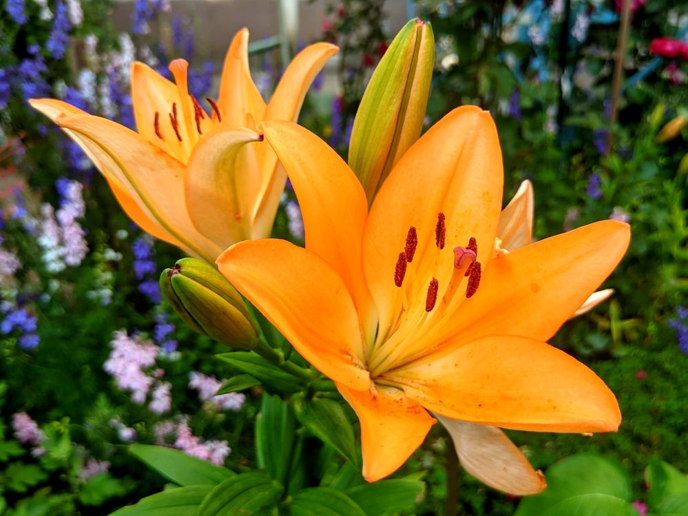 Фотография автора Андрей Павловский