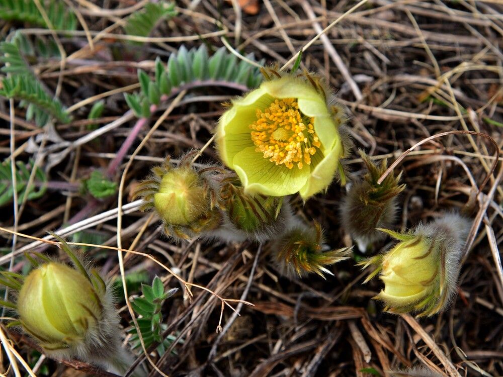 Photograph by Людмила