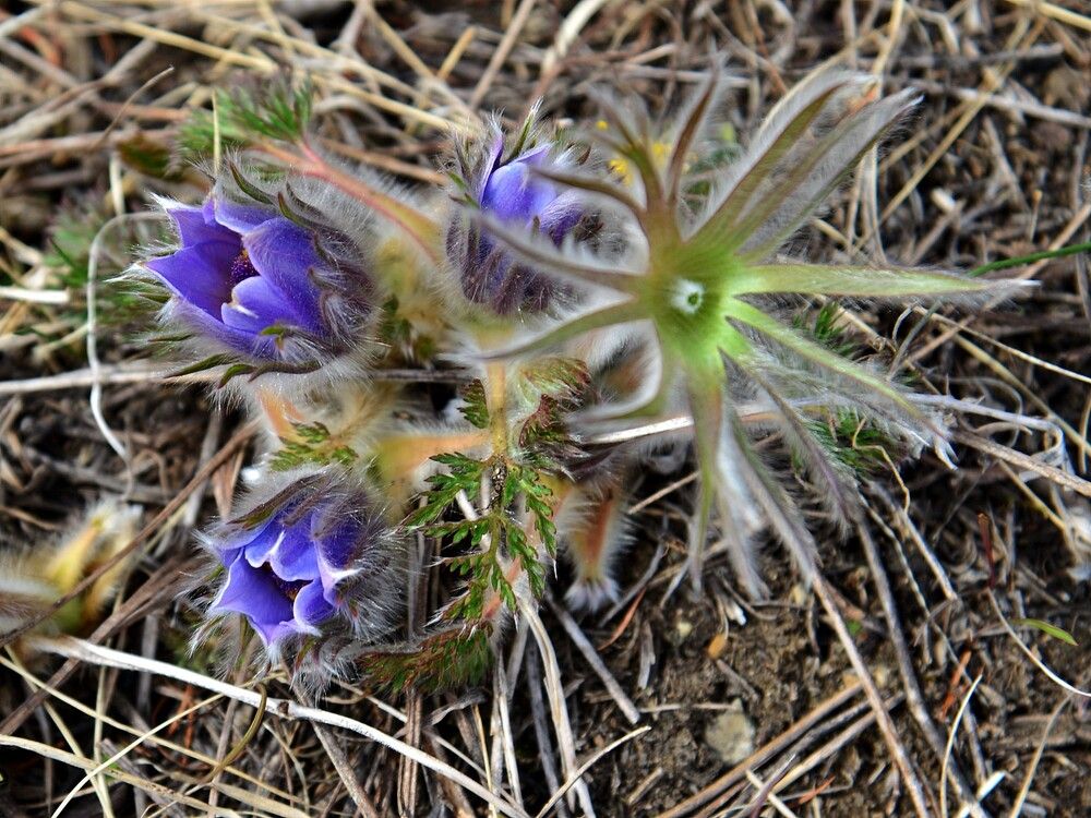 Photograph by Людмила