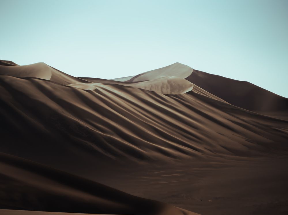 Photograph by saeed zare