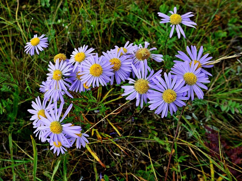 Photograph by Людмила